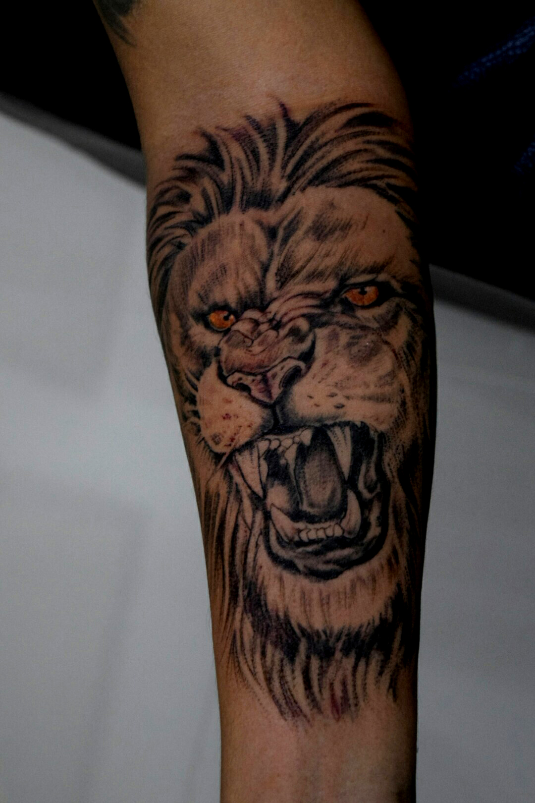 Lion Tattoo